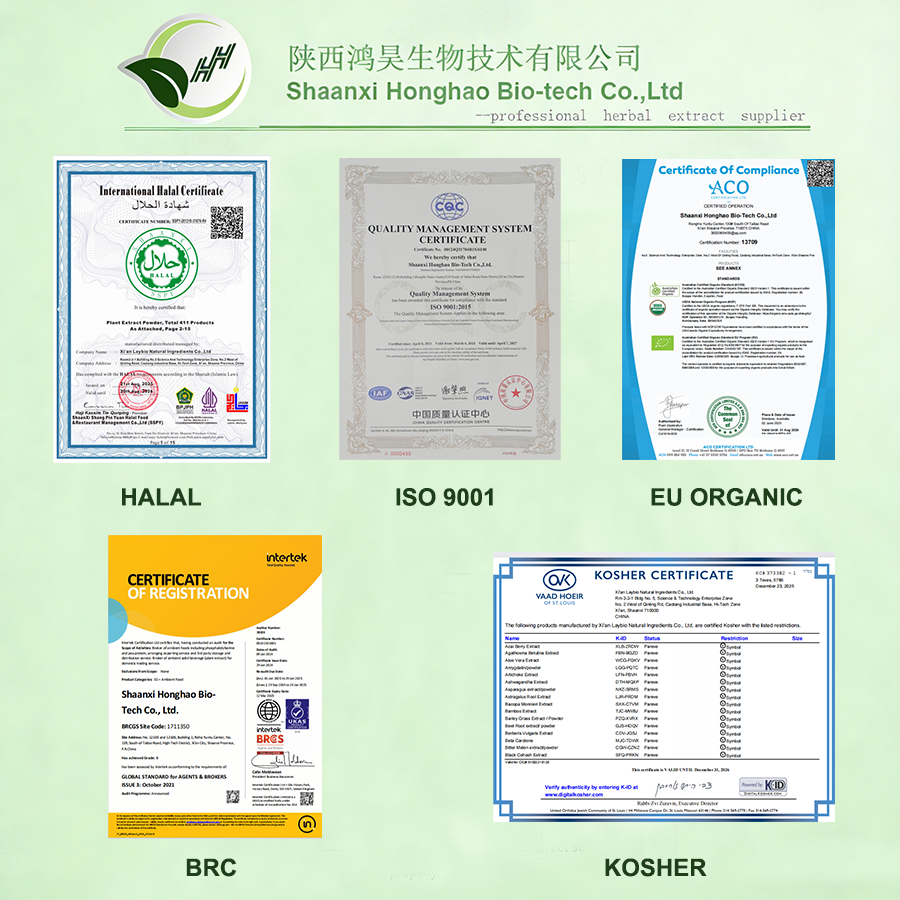 Lactobacillus Casei Active Probiotic Powder for Functional Food and Beverage Applications