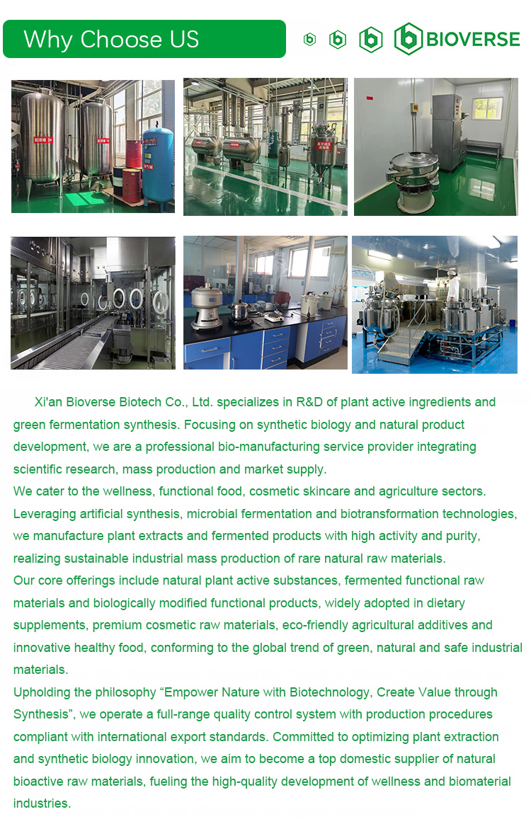 Hot Selling Nettle Extract Powder Natural Botanical Ingredient for Supplements