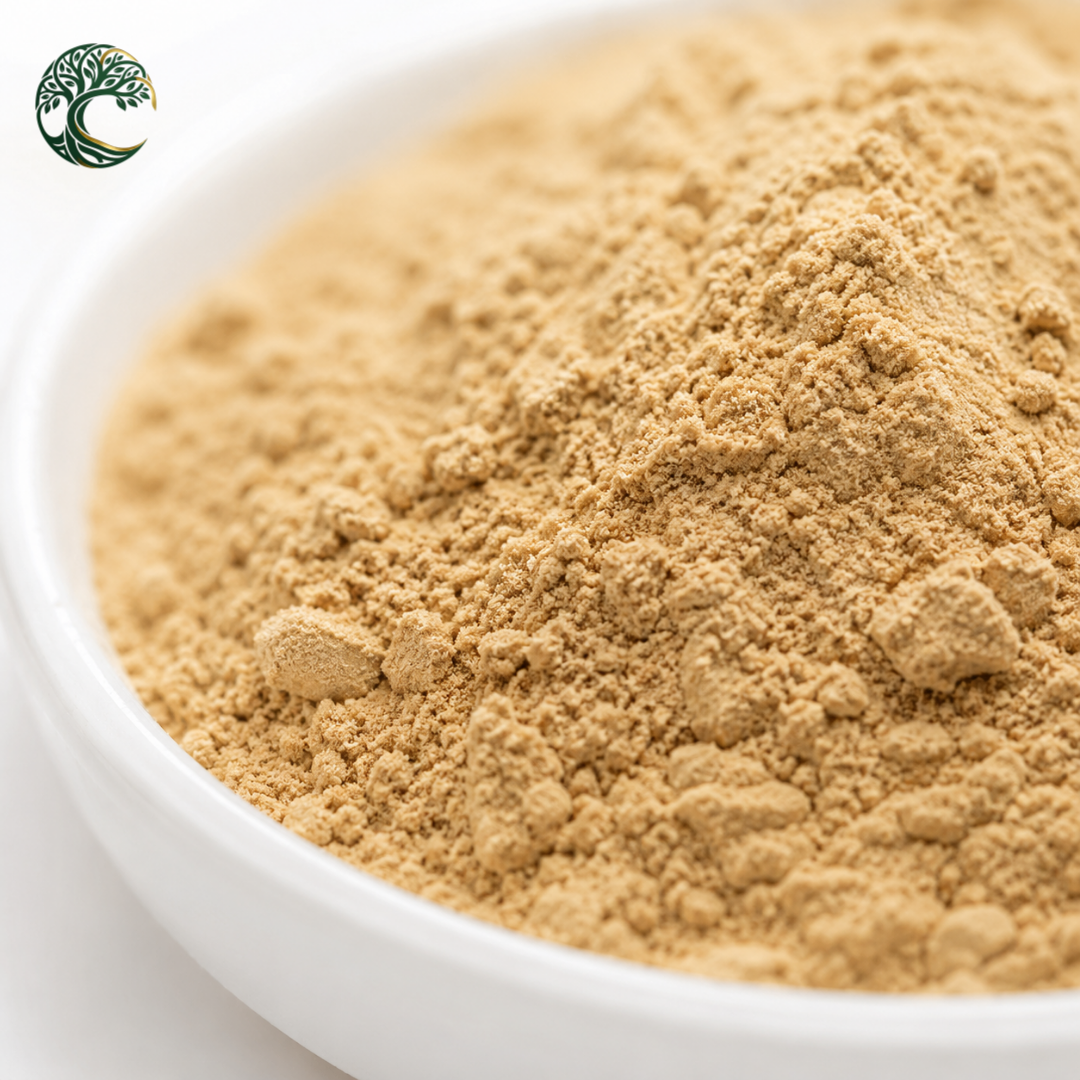 Hot Selling Astragalus Root Extract Powder Cycloastragenol 98% Bulk Herbal Raw Material for Supplement Ingredient