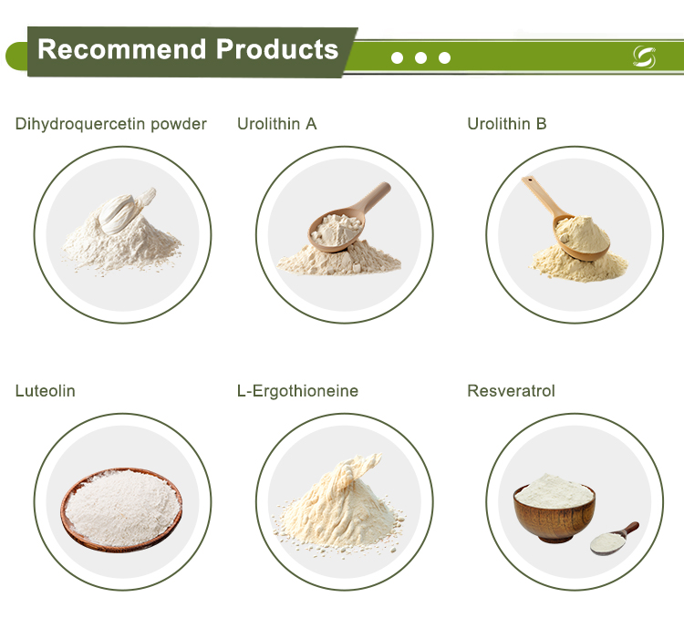 Product Portfolio