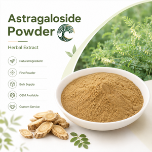 Astragalus Root Extract Cycloastragenol 98%