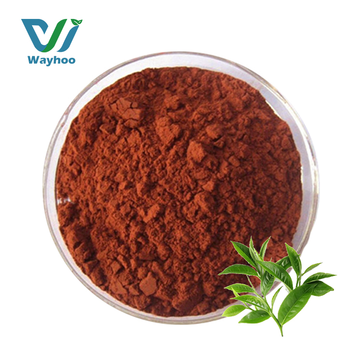 Wholesale Natural Green Tea Extract Powder Green Tea Extract 50% Polyphenol for Food Ingredient