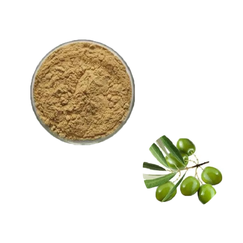 100% Natural Food Grade Olive Leaf Extract in Powder High Quality Herbal Extract Vacuum Packed in Drum