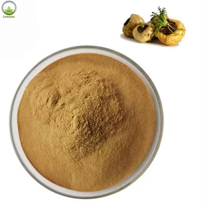 Pure Natural Maca Extract Powder