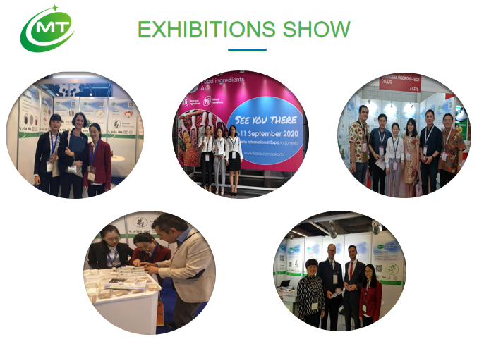 Exhibition and Global Presence