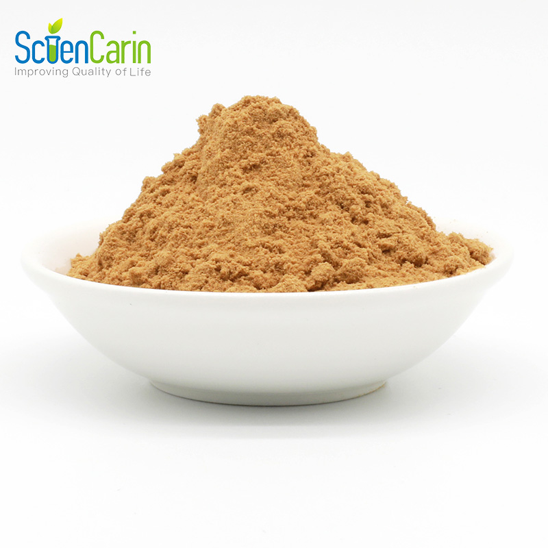 Factory Wholesale Natural Supplement Ingredient Lion's Mane Lions Mane Mushroom Extract Powder