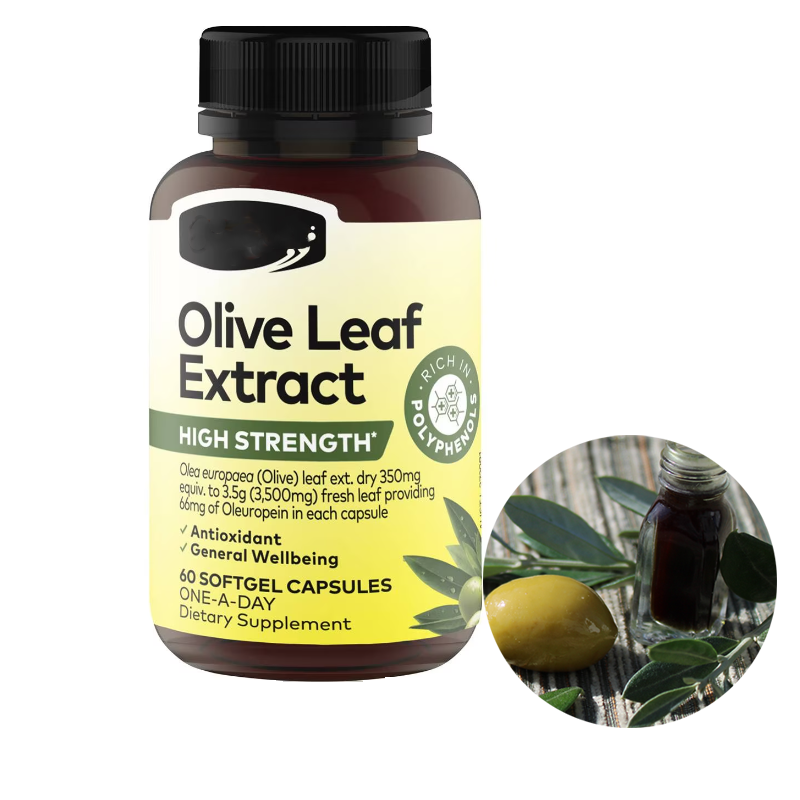 100% Natural Food Grade Olive Leaf Extract in Powder High Quality Herbal Extract Vacuum Packed in Drum