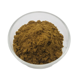 Hot Selling Bulk High Quality Dandelion Extract