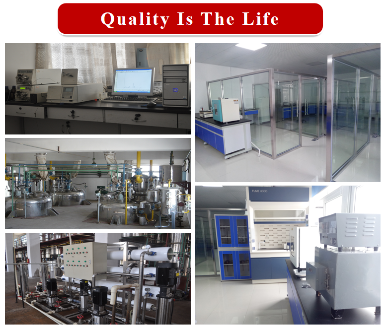 Factory Facility View 3