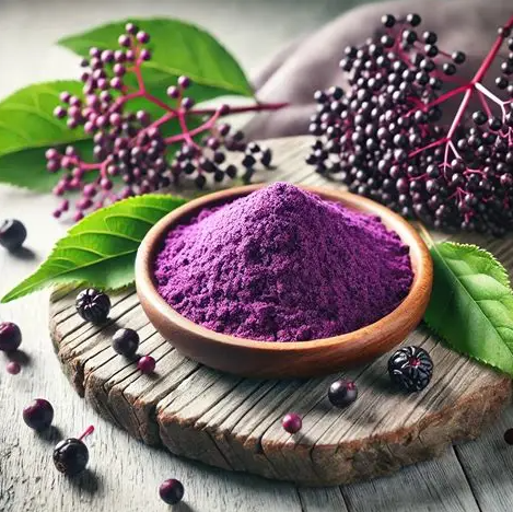 Elderberry Raw Material