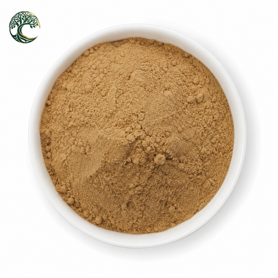 Hot Selling Astragalus Root Extract Powder Cycloastragenol 98% Bulk Herbal Raw Material for Supplement Ingredient