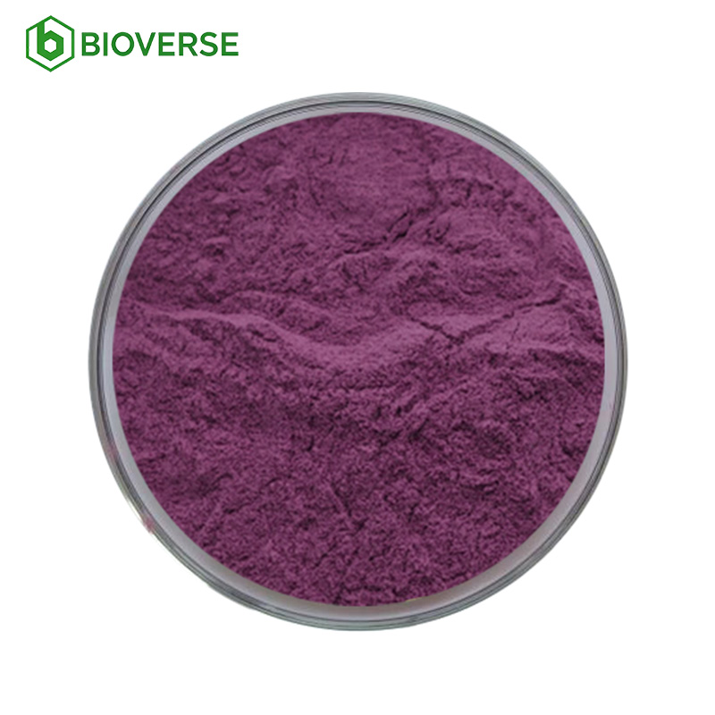 Pure Nature Elderberry Anthocyanins Water Soluble Black Elderberry Fruit Extract Powder 25% Anthocyanins