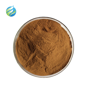 High Quality 100% Natural Plant Extract Pure Tea Saponins 70% 90% Tea Saponin Powder
