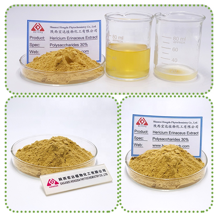 Mushroom Powder Organic Custom Packaging Lion's Mane Mushroom Extract Lion's Mane Powder