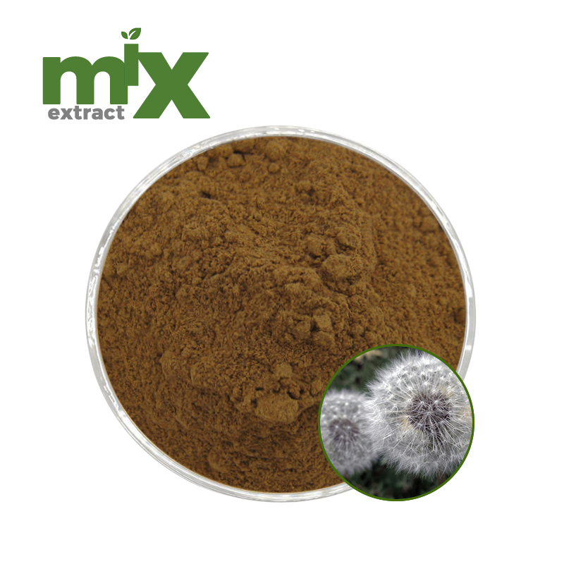 Standardized Dandelion Whole Plant Flavonoids Extract Powder 5% 20% for Healthy Food Ingredients