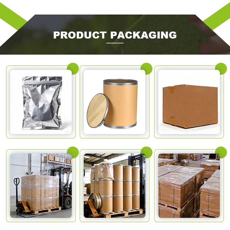High Purity 98% Luteolin Powder Sophora Japonica Bud Extract Antioxidant Supplement Raw Material