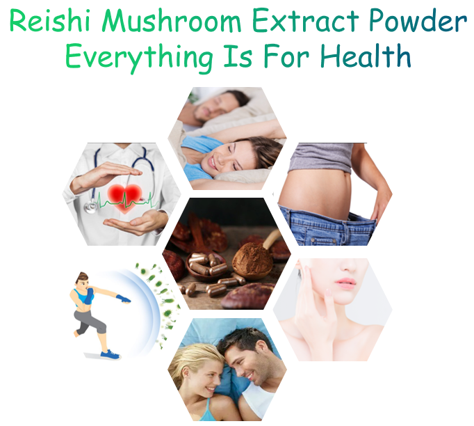 Pure Red Reishi Mushroom Broken Spore Extract Powder Applications
