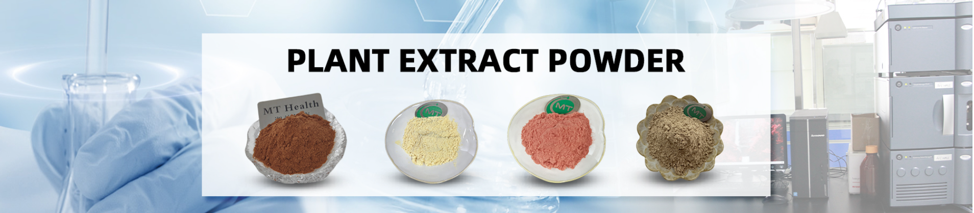 MT Health Lions Mane Mushroom Extract