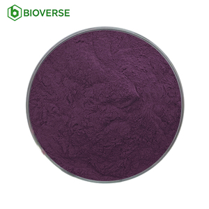 Water Soluble Anthocyanins Elderberry Powder