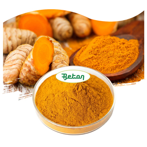 Bulk Pure Turmeric Curcumin Powder HPLC Turmeric Root Extract CAS 458-37-7