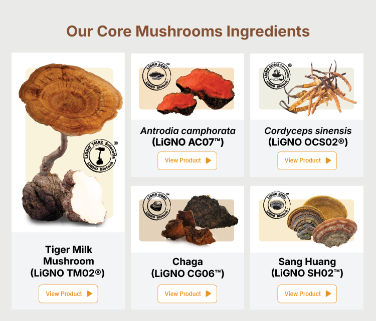 Mushroom Product Family