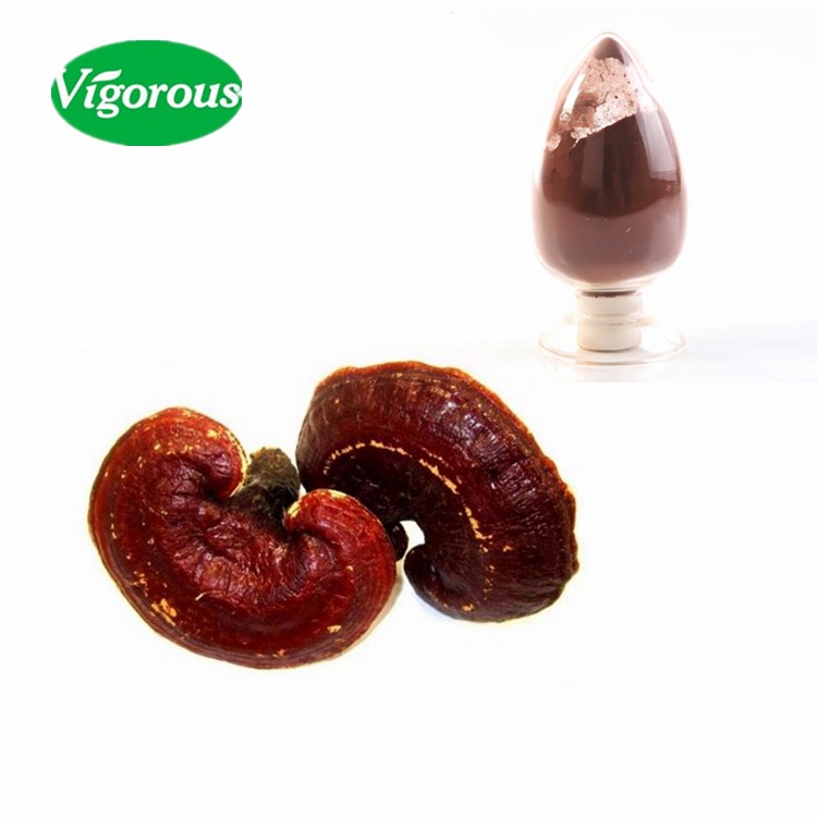 Pure Red Reishi Mushroom Broken Spore Extract Powder Display