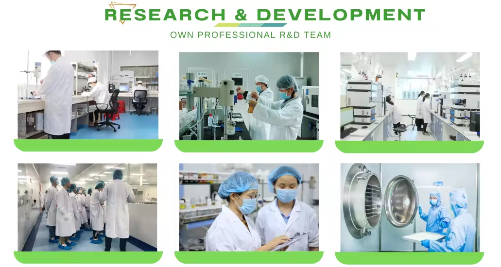 Why Choose Us Quality Assurance