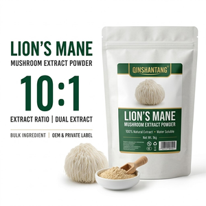 Lion's Mane Mushroom Extract Powder 10:1 Bulk