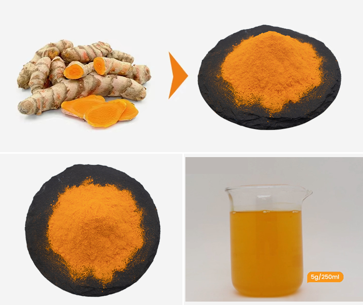 Bulk Price Water Soluble Turmeric Extract 10% Curcumin Powder