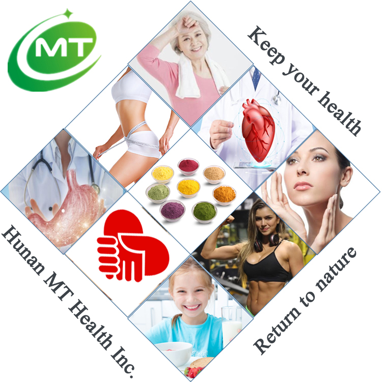 Lions Mane Extract Applications