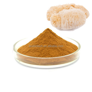 Lions Mane Extract Mushrooms Supplement Hericium Erinaceus Extract 10% Polysaccharides Lion's Mane Powder