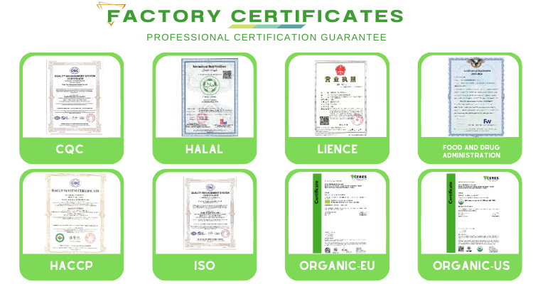 Company Certifications and Qualifications