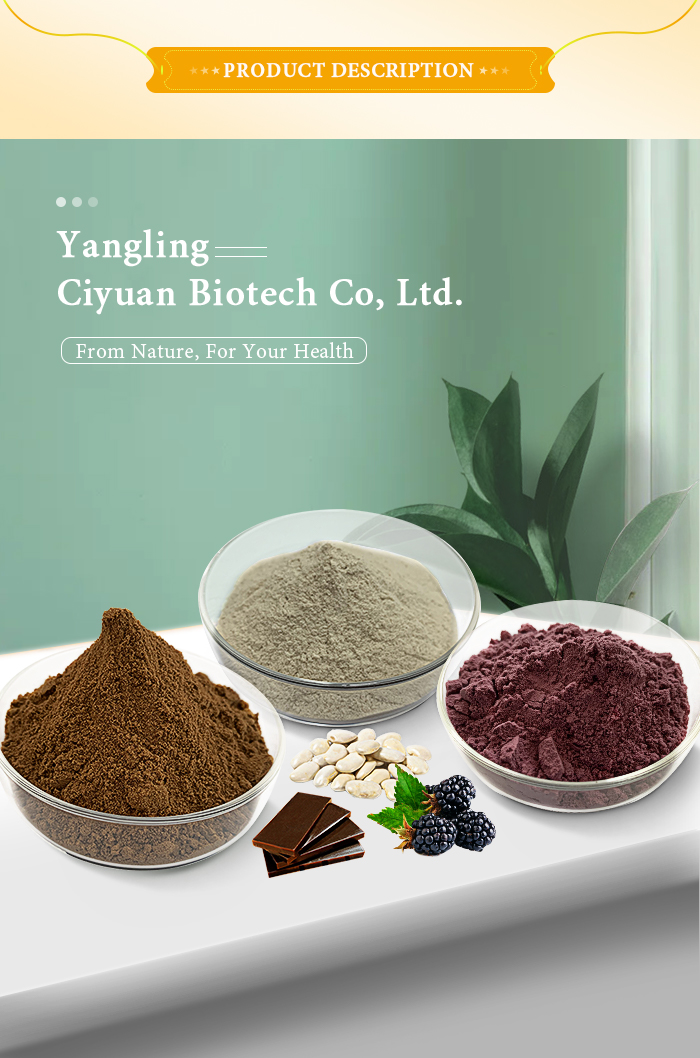 Dandelion Root Extract Banner
