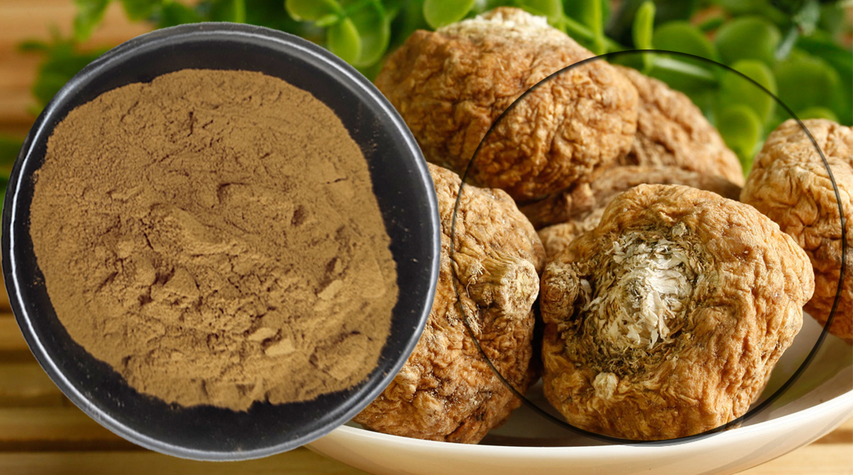 Maca Extract Powder Showcase
