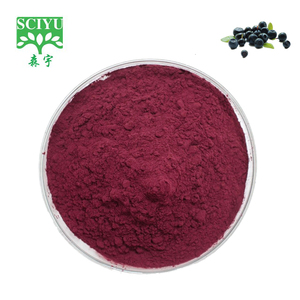 Water Soluble Elderberry Extract Powder