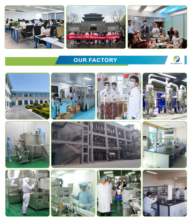 Lions Mane Extract Facility