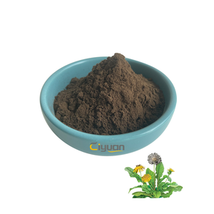 Kosher Certified Dandelion Root Extract Powder 5% Flavonoids
