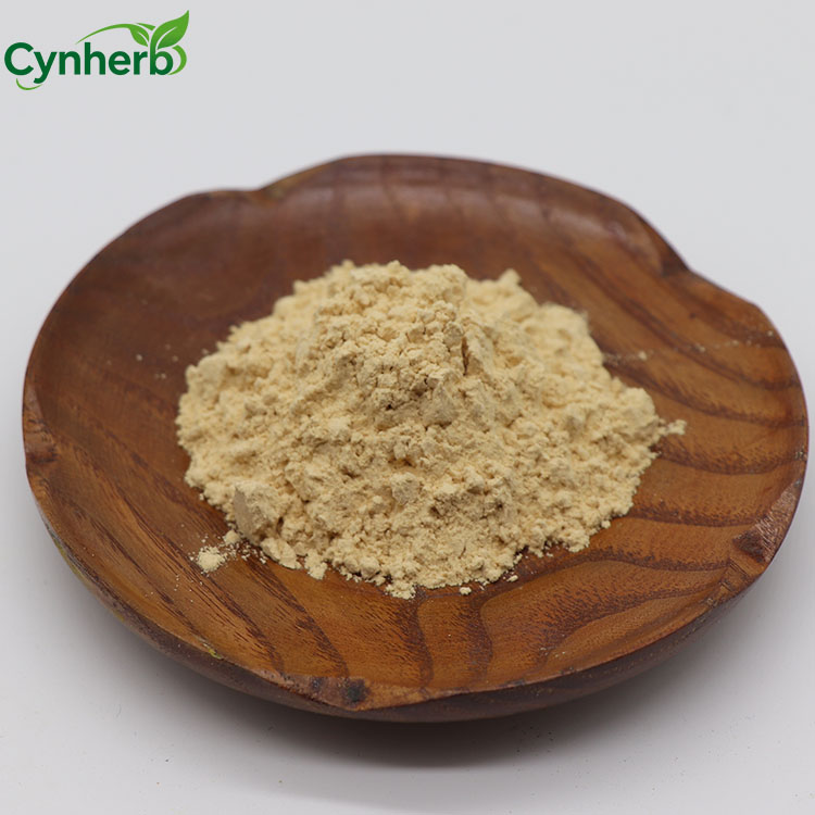Wholesale Bulk Price Ginsenoside Powder Panax Ginseng Extract 80% Ginsenoside