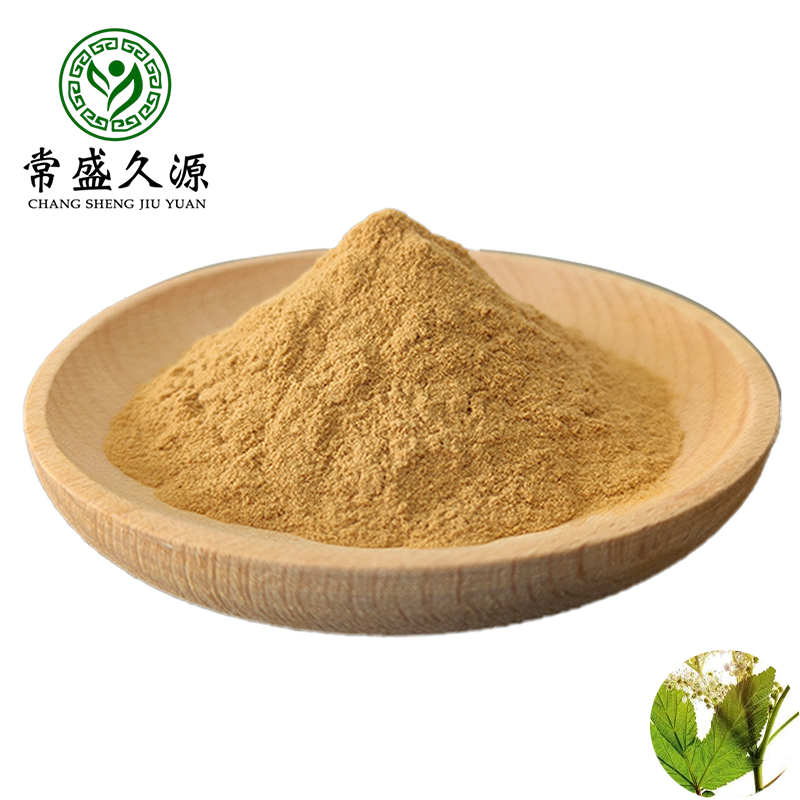 Water Soluble 100% Natural Ivy Leaf Extract Powder Food Grade Herbal Extract in Drum Packaging