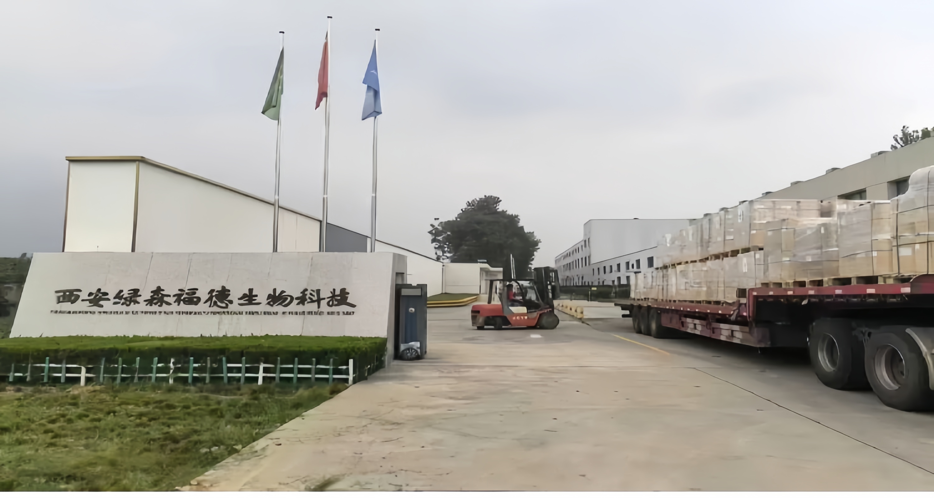 Factory Advantages