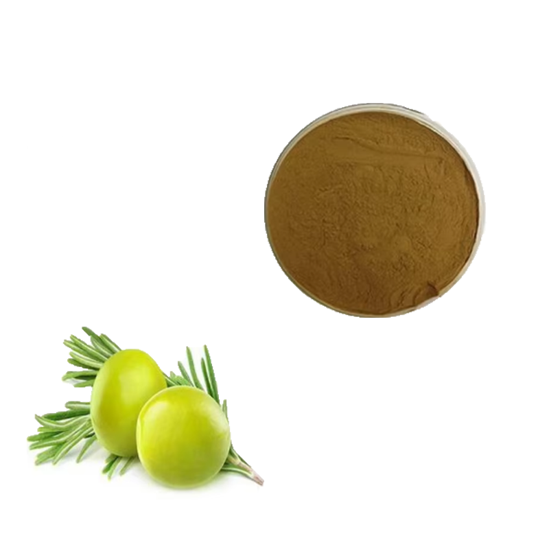 100% Natural Food Grade Olive Leaf Extract in Powder High Quality Herbal Extract Vacuum Packed in Drum