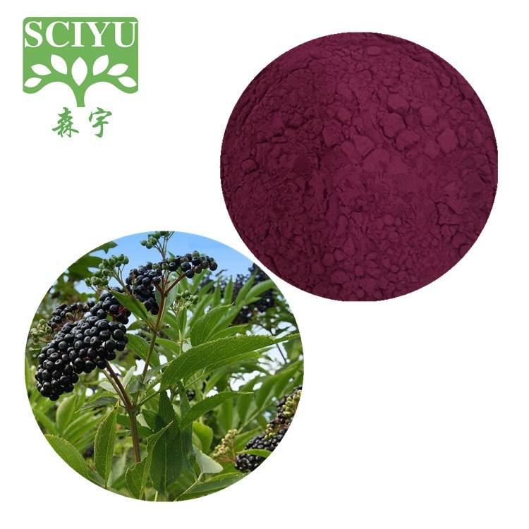 Elderberry Extract Powder Anthocyanidins 25% Elderberry Fruit Juice Powder Water Soluble for Food Supplement