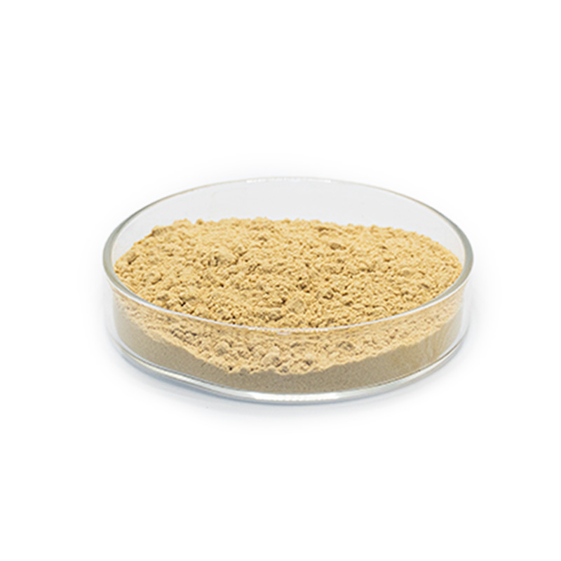 Certified Halal Honeysuckle Food Plant Extract Powder Food Grade 1kg Plastic Container Solvent Extraction Herbal Supplements