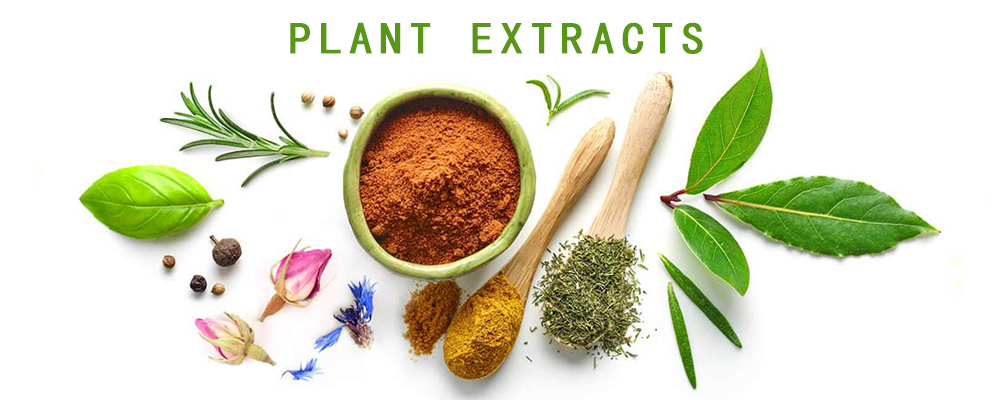 Water Soluble Tumeric Root Extract Powder 10% Curcumin Supplements