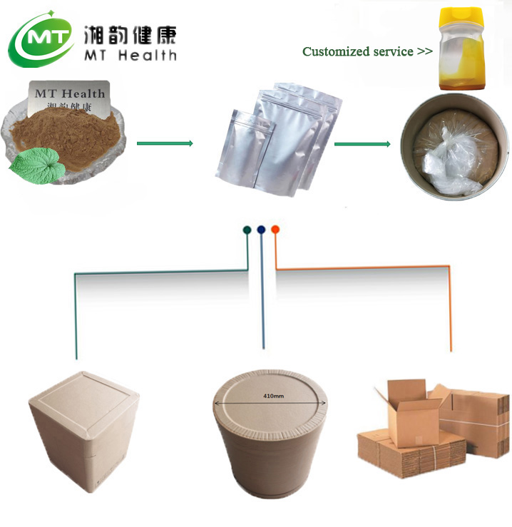 Global Shipping and Logistics