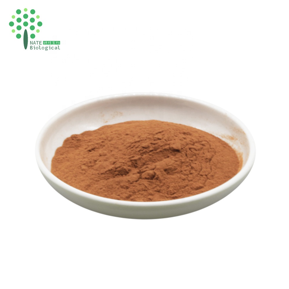 Organic Lions Mane Mushroom Extract Powder Polysaccharide