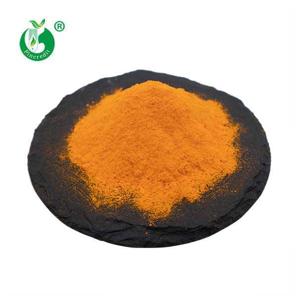 Bulk Price Water Soluble Turmeric Extract 10% Curcumin Powder