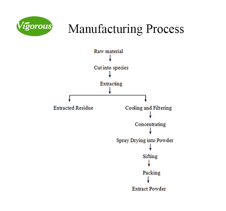 Manufacturing Process