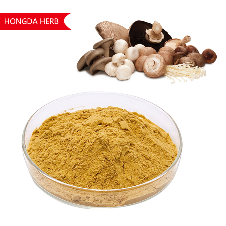 Mushroom Powder Organic Custom Packaging Lion's Mane Mushroom Extract Lion's Mane Powder