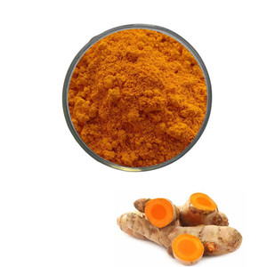 Water Soluble Turmeric Extract 10% Curcumin